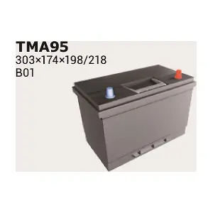 IPSA TMA95