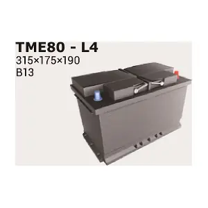 TME80 IPSA