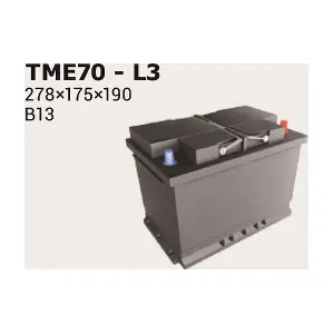 IPSA TME70