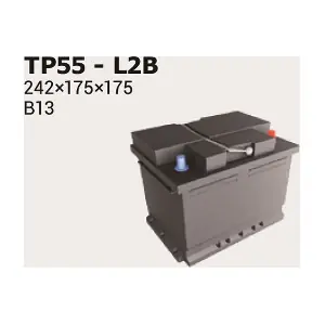 IPSA TP55
