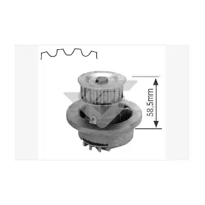 HUTCHINSON WP 0002V