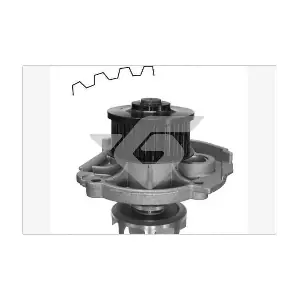 HUTCHINSON WP39