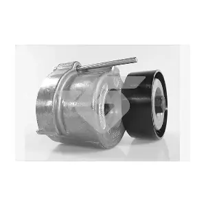 HUTCHINSON T0562