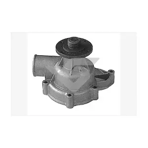 HUTCHINSON WP234