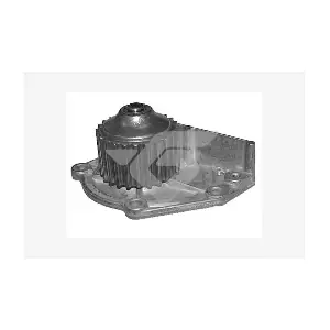 HUTCHINSON WP 0016V