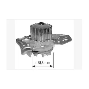 HUTCHINSON WP0009V
