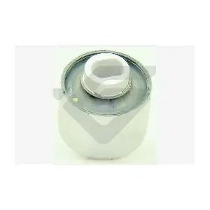 590554 HUTCHINSON
