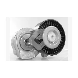 HUTCHINSON T0554