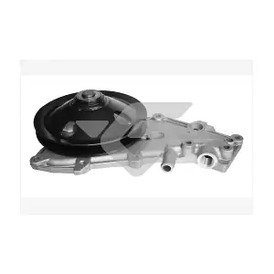 HUTCHINSON WP81