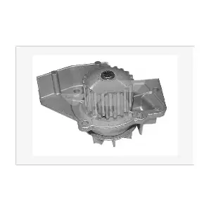 HUTCHINSON WP31