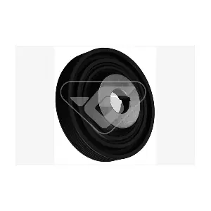 HUTCHINSON DP061