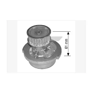 HUTCHINSON WP 0019V