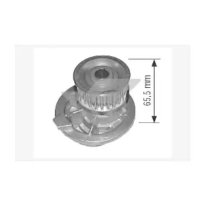 HUTCHINSON WP0020V