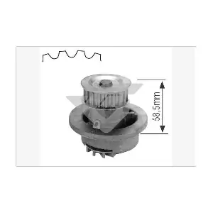HUTCHINSON WP02
