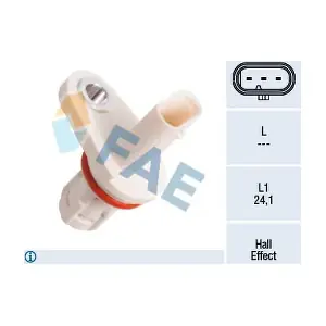 FAE 79396