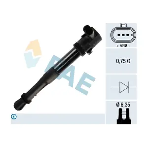 FAE 80256