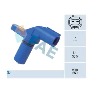 FAE 79255