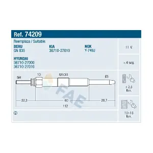 FAE 74209