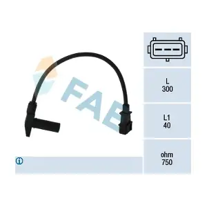 79096 FAE