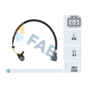 FAE 79419