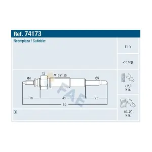 FAE 74173