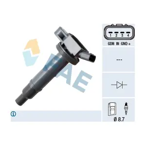 FAE 80344
