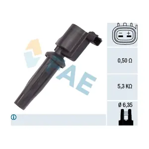 FAE 80231