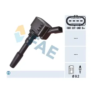 FAE 80238