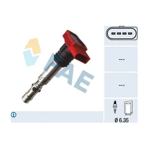 FAE 80446