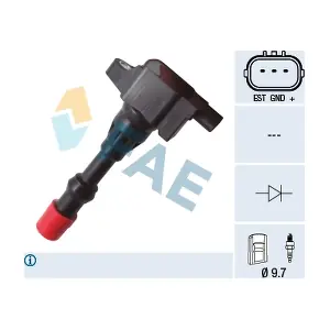 FAE 80297