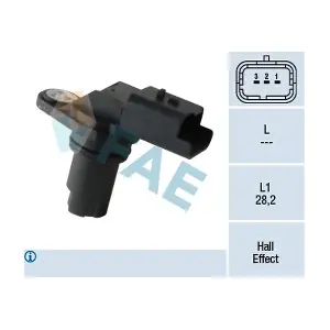 FAE 79306