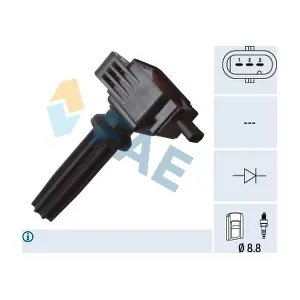 FAE 80255