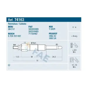 FAE 74163