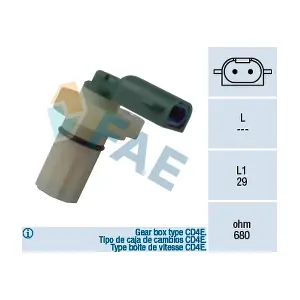 79087 FAE