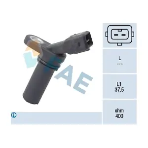 FAE 79179
