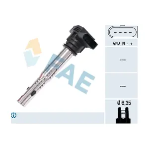 FAE 80240