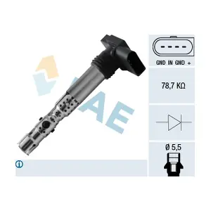 FAE 80326