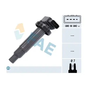 FAE 80242