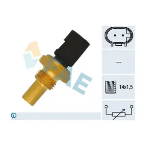FAE 33035