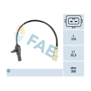 FAE 79084