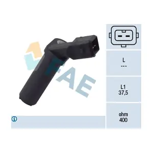 FAE 79094