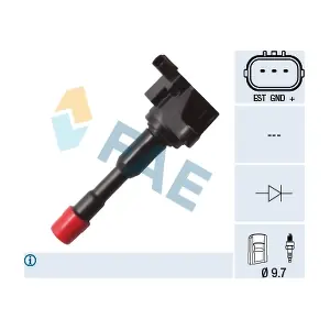 FAE 80298