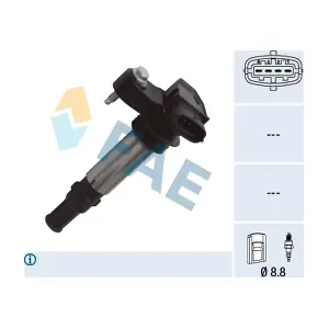 FAE 80355