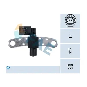 FAE 79029