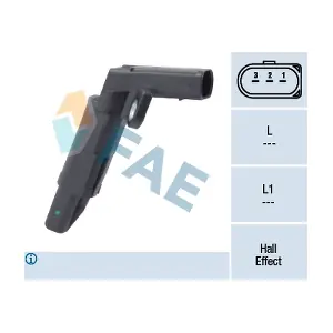 FAE 79178