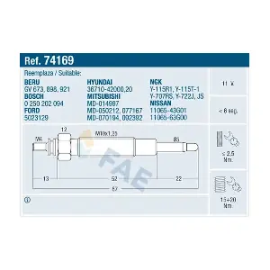 FAE 74169