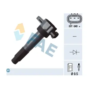 FAE 80268