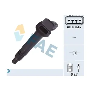 FAE 80367