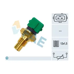 FAE 33070