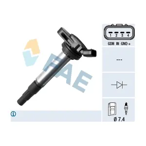 FAE 80337